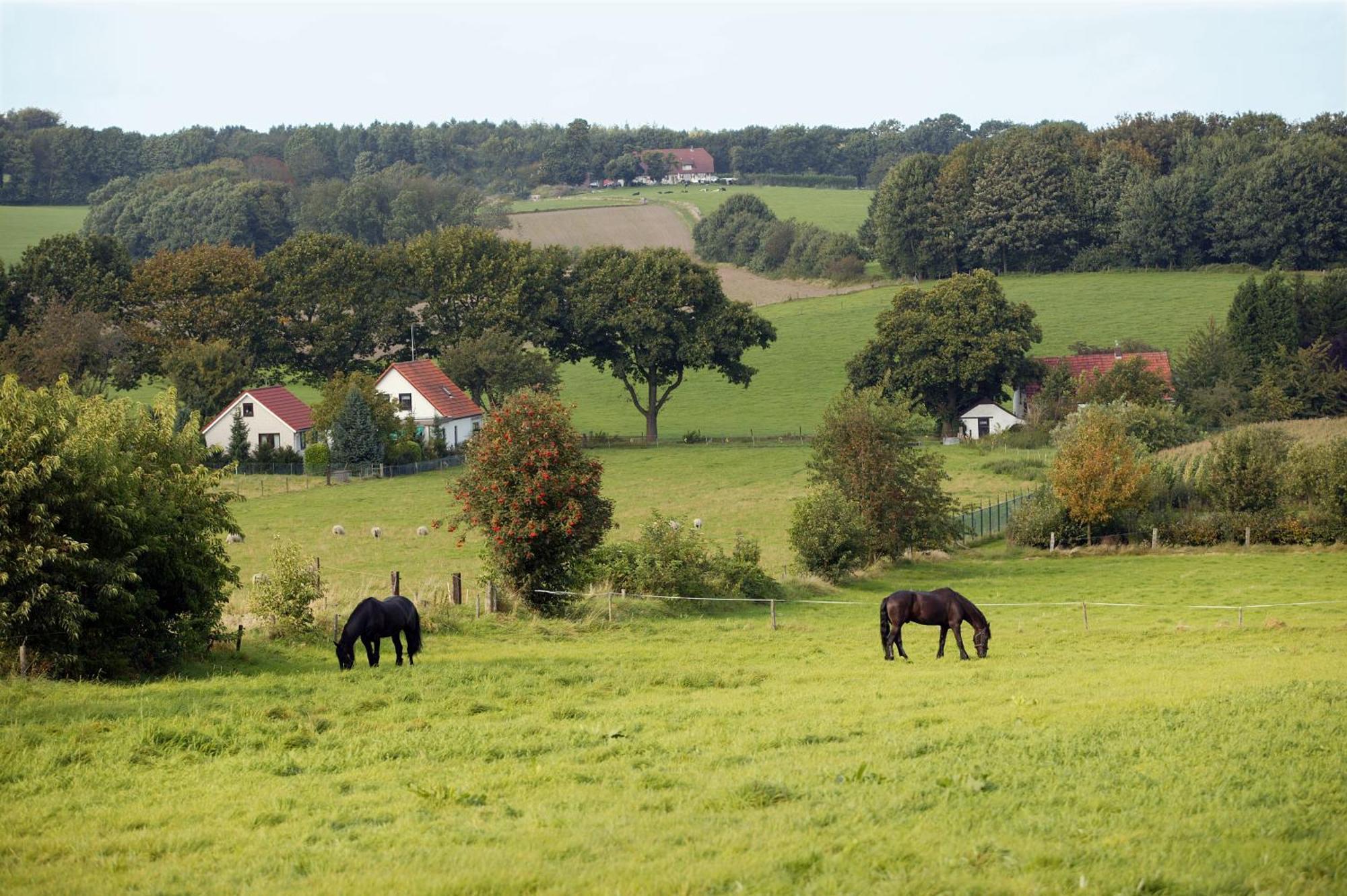 Hotel & Appartementen - De Zeven Heuvelen Ґрусбек Екстер'єр фото